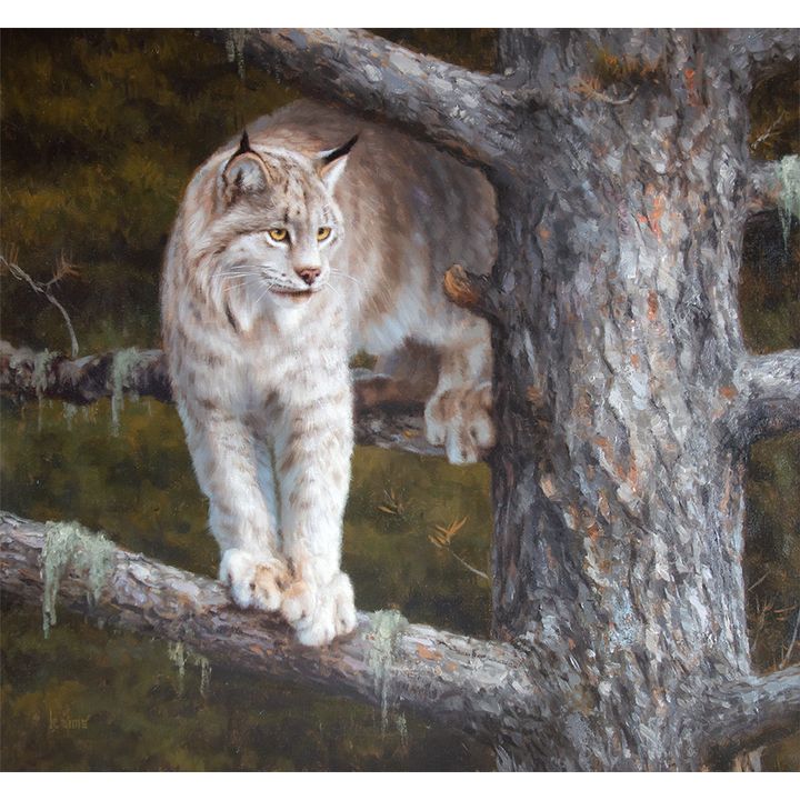 Kyle Sims (1980- ), The Perch
