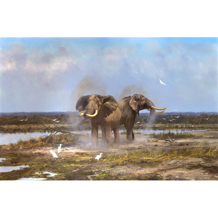 Michael Coleman (1946- ), Dust Bath on the Nunga River