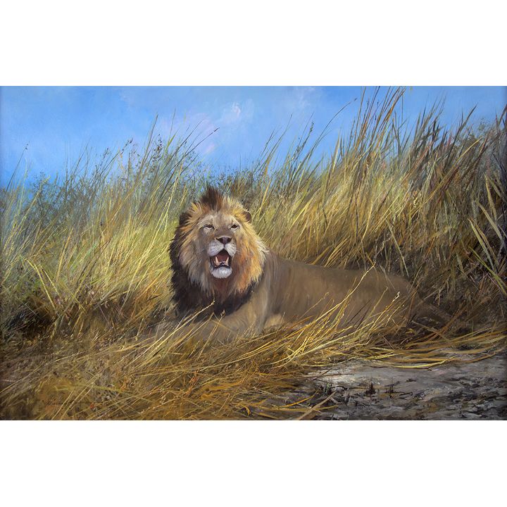 Michael Coleman (1946- ), In the Long Grass - Zambia