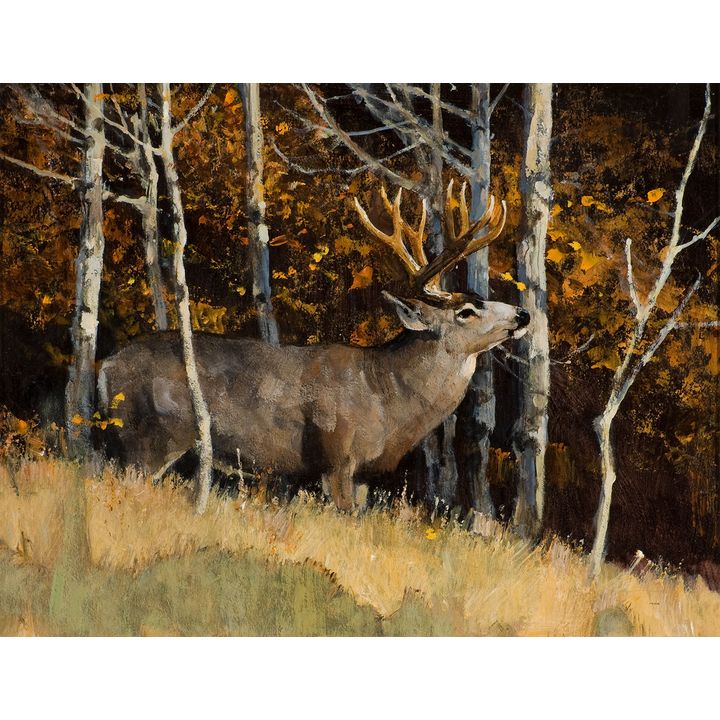 Bob Kuhn (1920-2007), Browsing Mulie