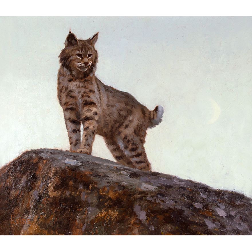 Kyle Sims (1980- ), Under the Twilight (Study)