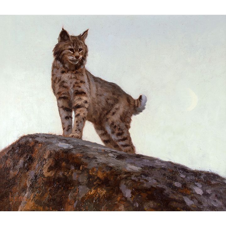 Kyle Sims (1980- ), Under the Twilight (Study)