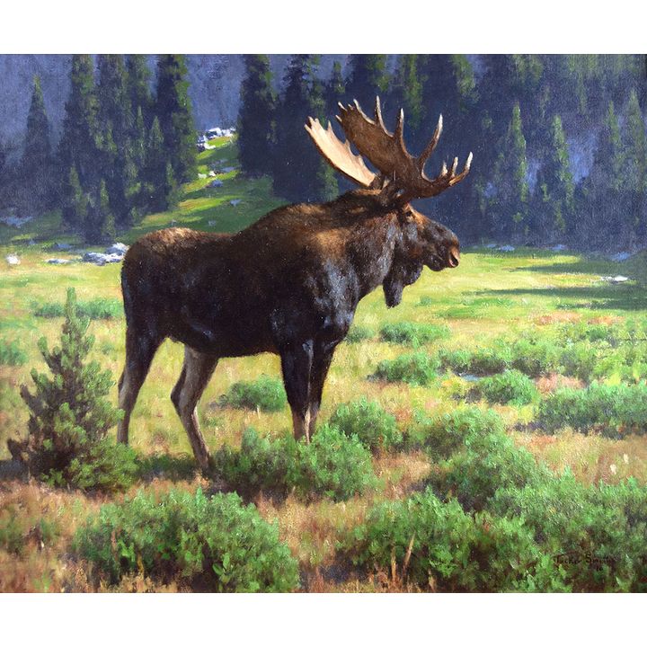 Tucker Smith (1940- ), Shiras Bull