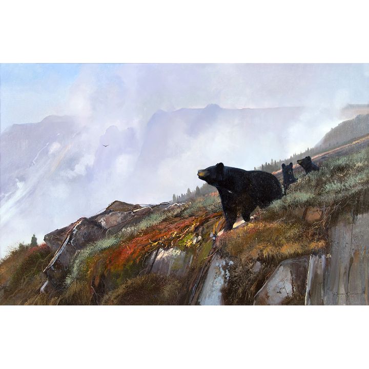 Michael Coleman (1946- ), Three Black Bears