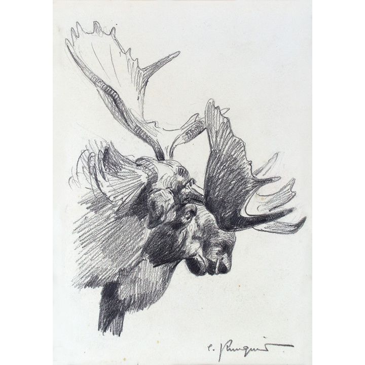 Carl Rungius (1869-1959), Old Bull