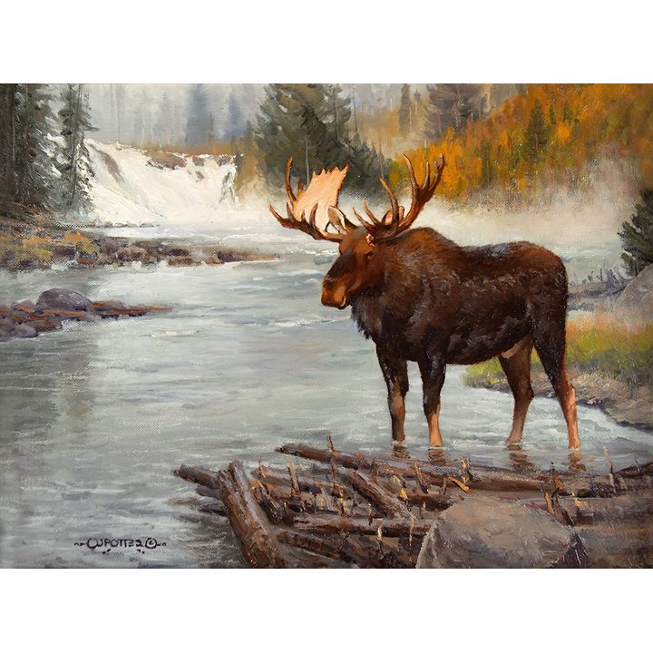 John Potter (1957- ), Prime Time