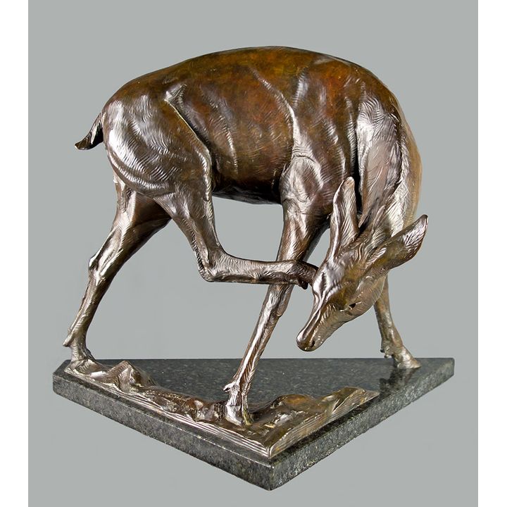Dan Ostermiller (1956- ), Scratching Doe