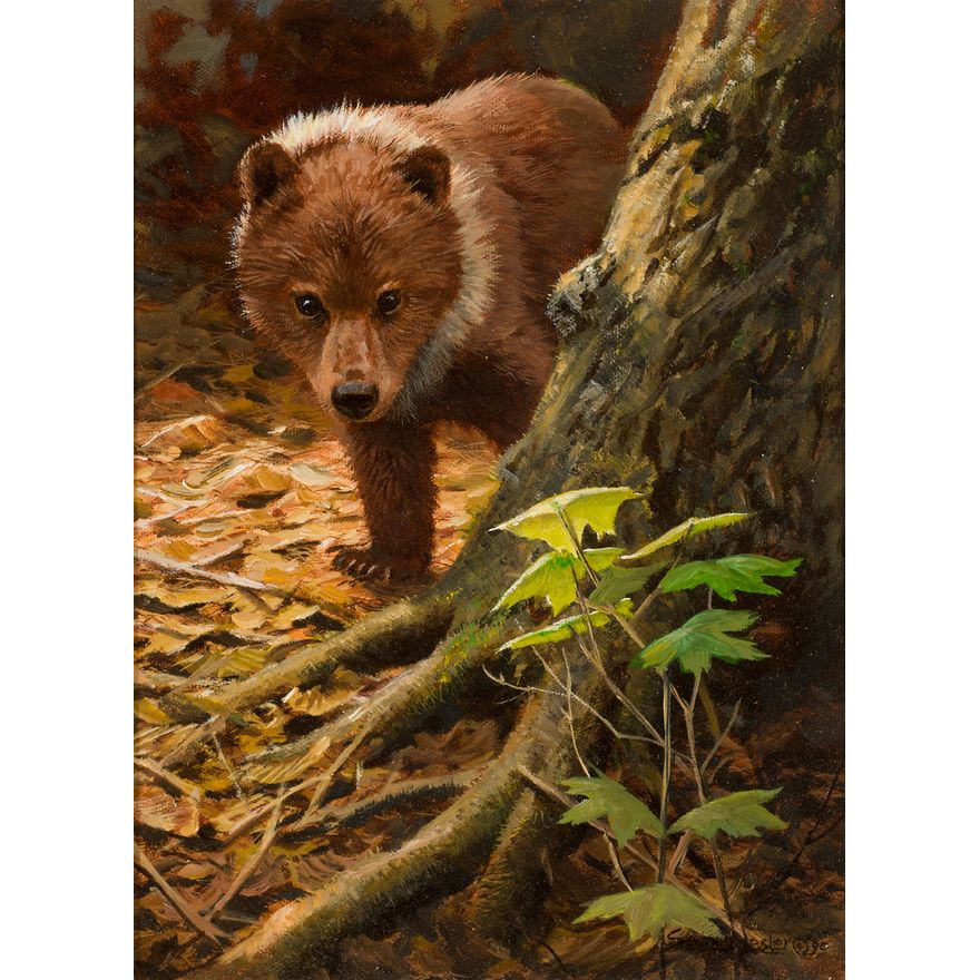 John Seerey-Lester (1946- ), Young Explorer