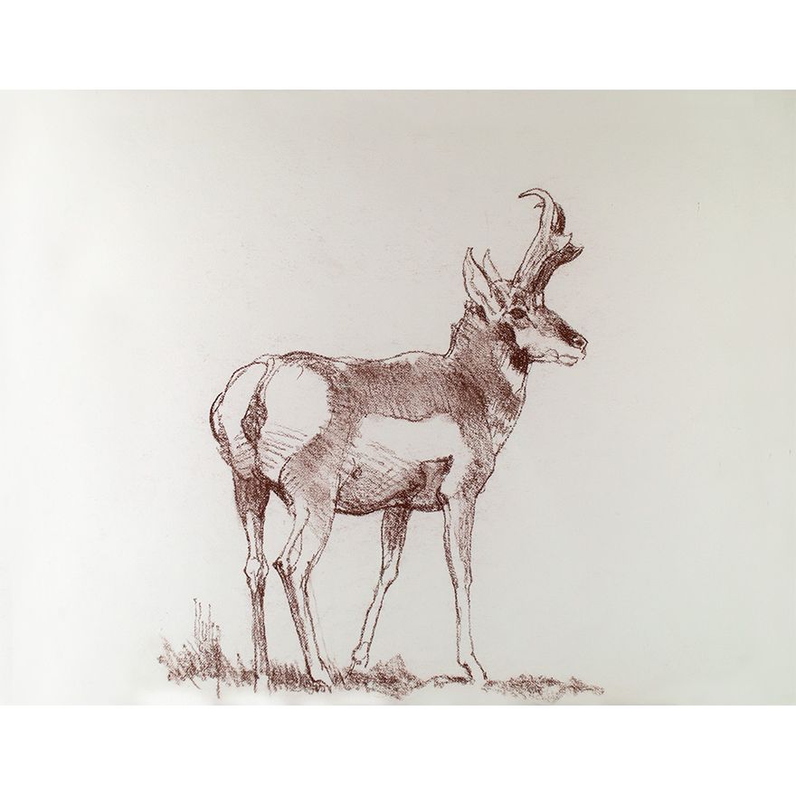 Bob Kuhn (1920-2007), Pronghorn