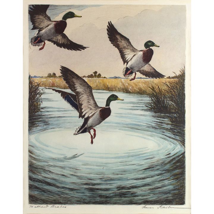 Hans Kleiber (1887-1967), Mallard Drakes
