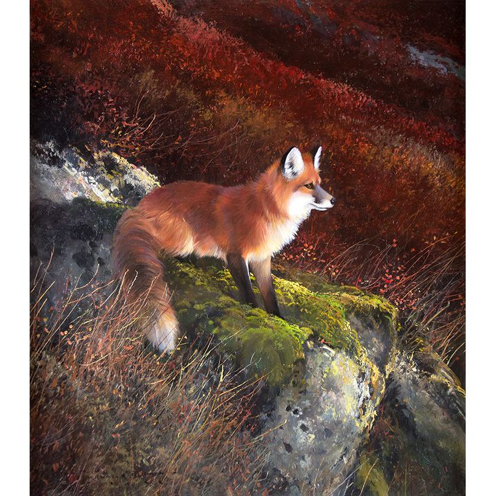 Michael Coleman (1946- ), A Sunny Spot - Red Fox