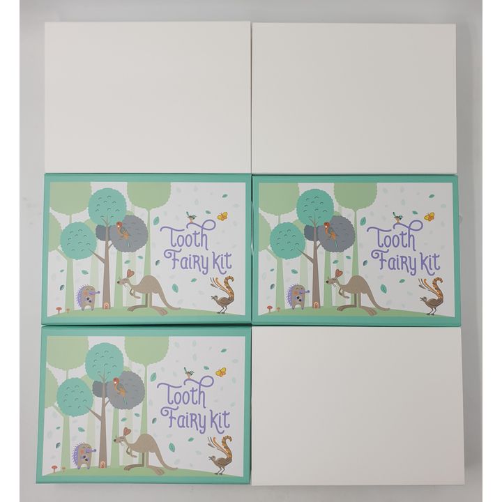 Tooth Fairy Kits - 2023 (x3)