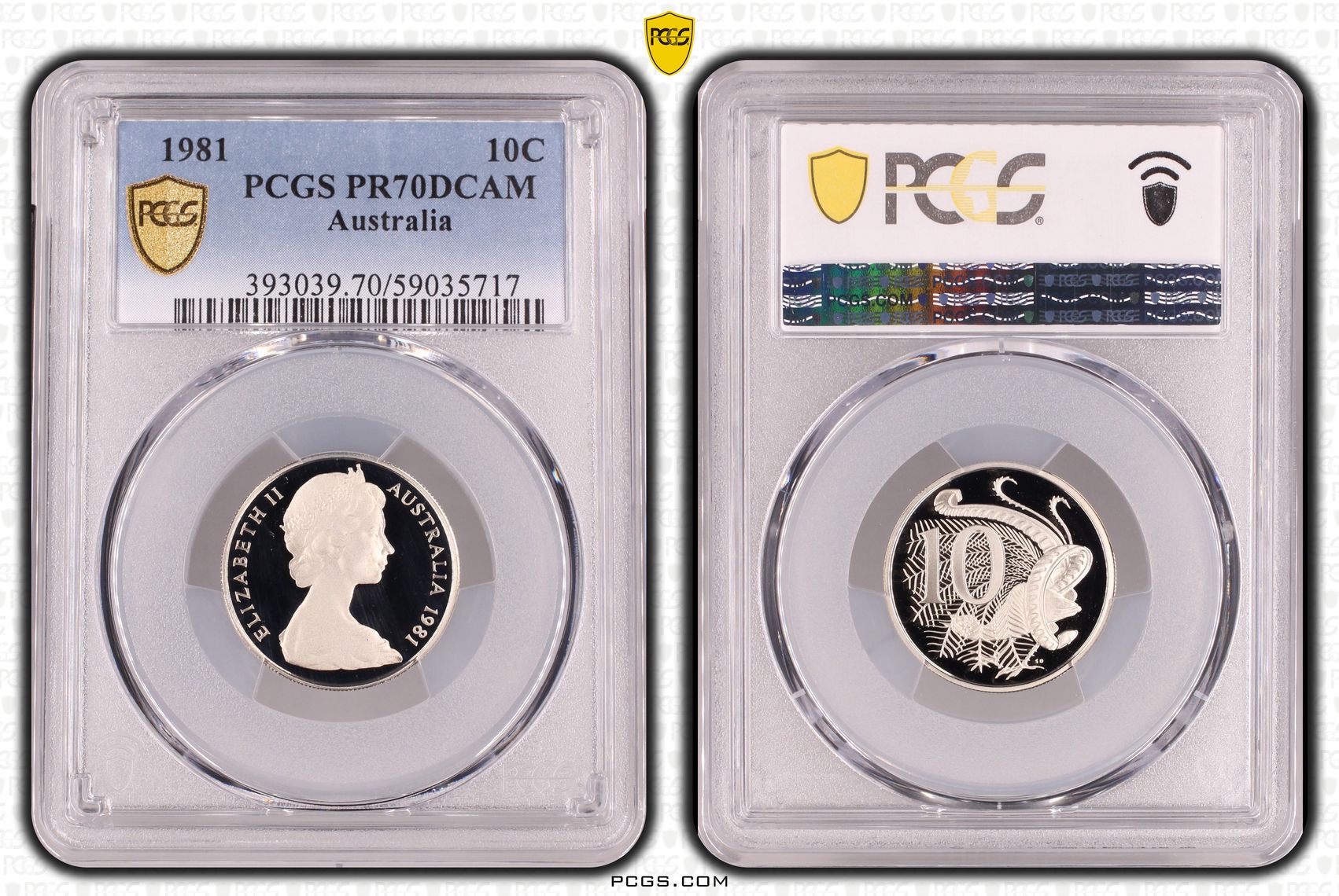 Ten Cent, 1981, Pcgs Pr70dcam