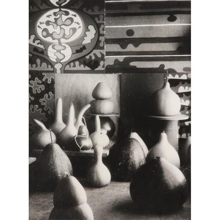 Theo Schoon 'Gourd Collection Study'