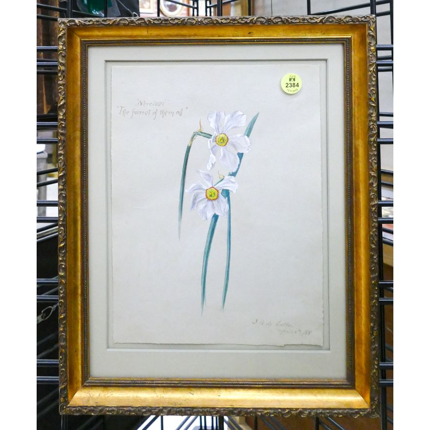 J.B. Sutton 1888 Narcissi Floral Watercolor Framed- 14x11''