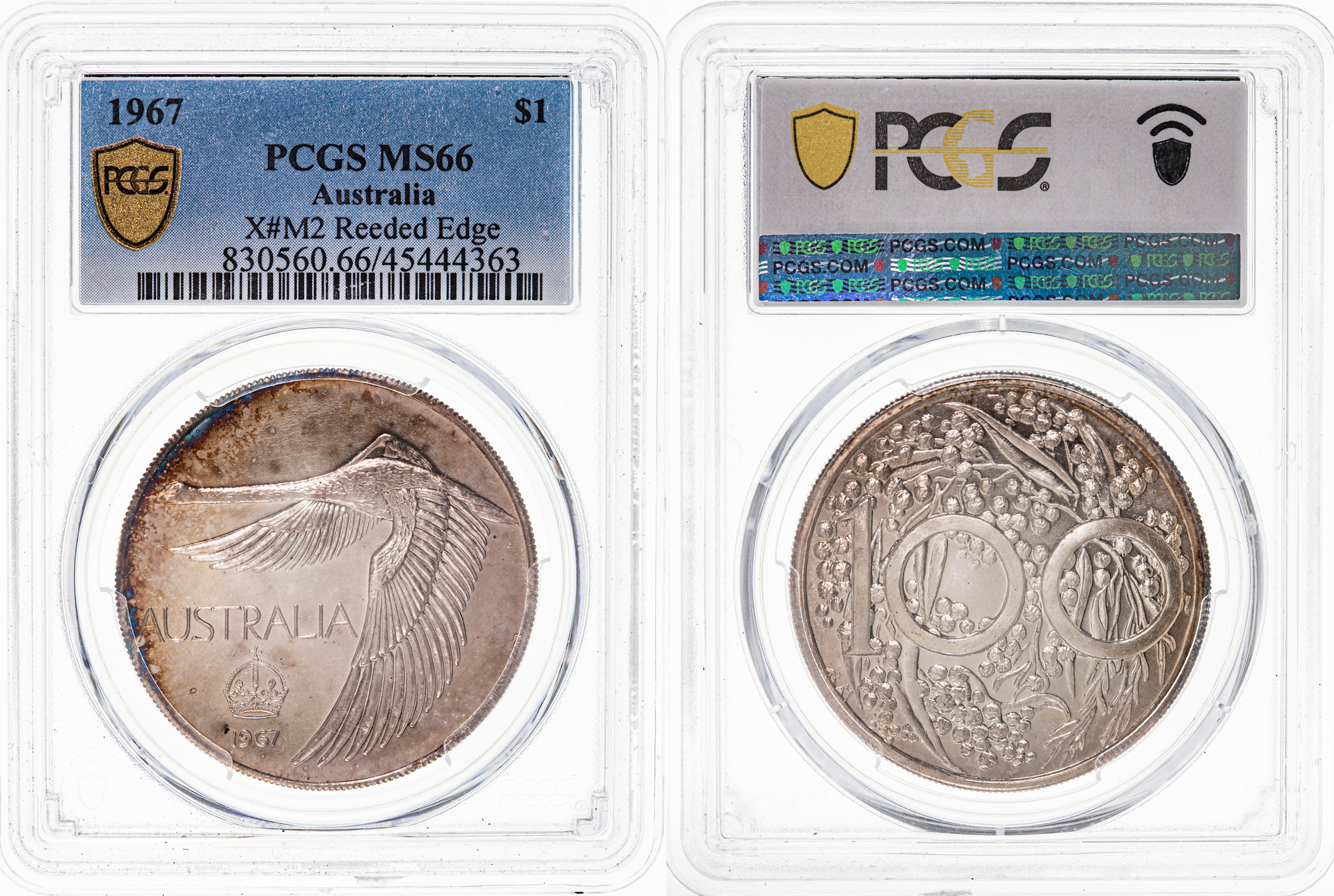 Swan Dollar, 1967, PCGS MS66
