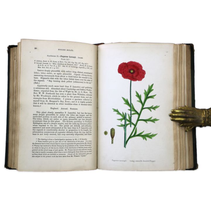 SOWERBY, J. BOSWELL SYME, JOHN.T. LANCASTER, MRS., English Botany or Coloured Figures of British Plates.