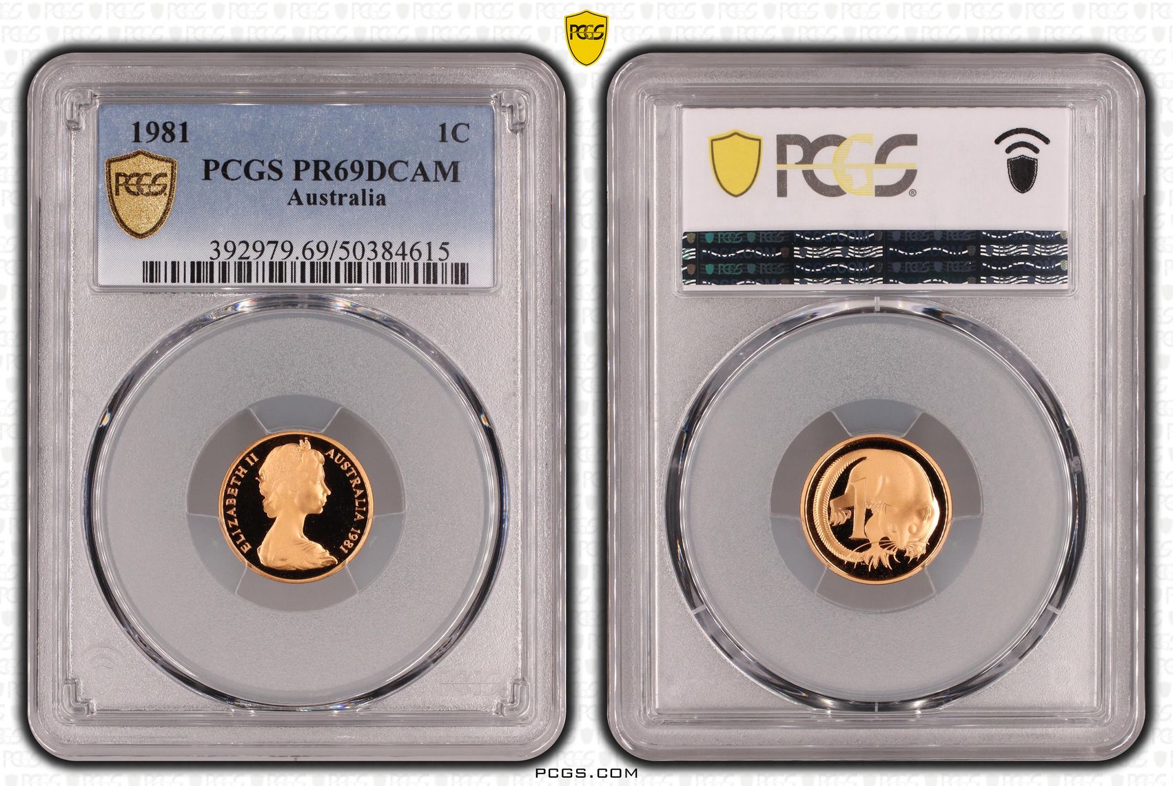One Cent, 1981, Pcgs Pr69dcam