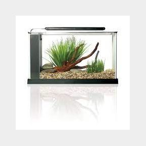 Fluval - Spec 4 - Glass Aquarium - Black - 19 Litre-51459/1618 B8 (S4)