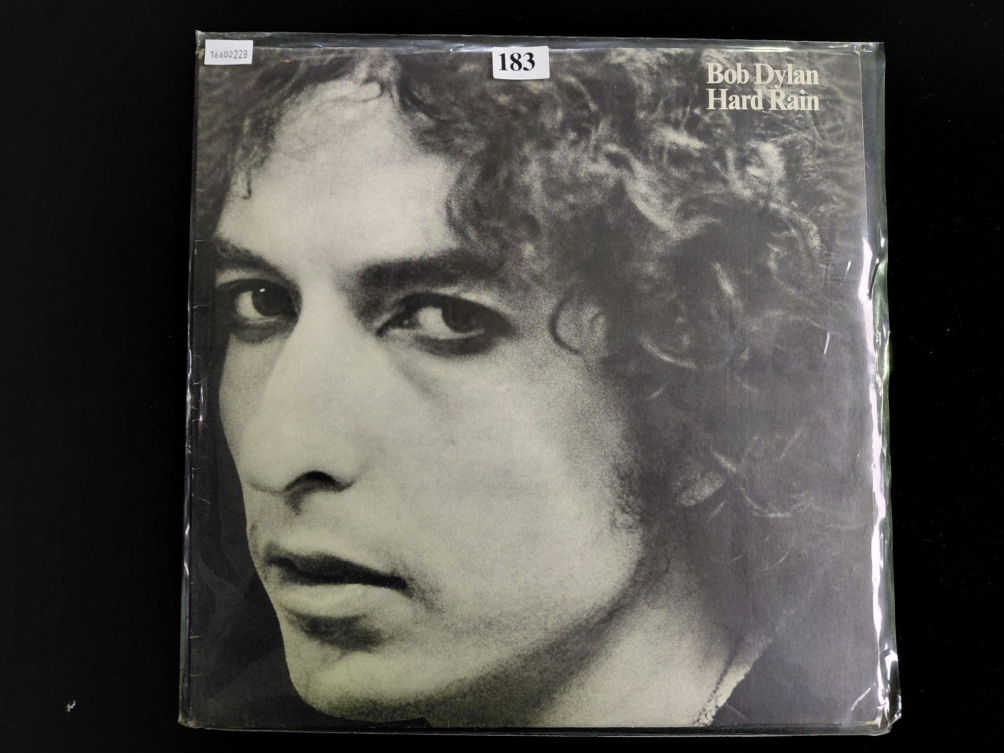 Bob Dylan