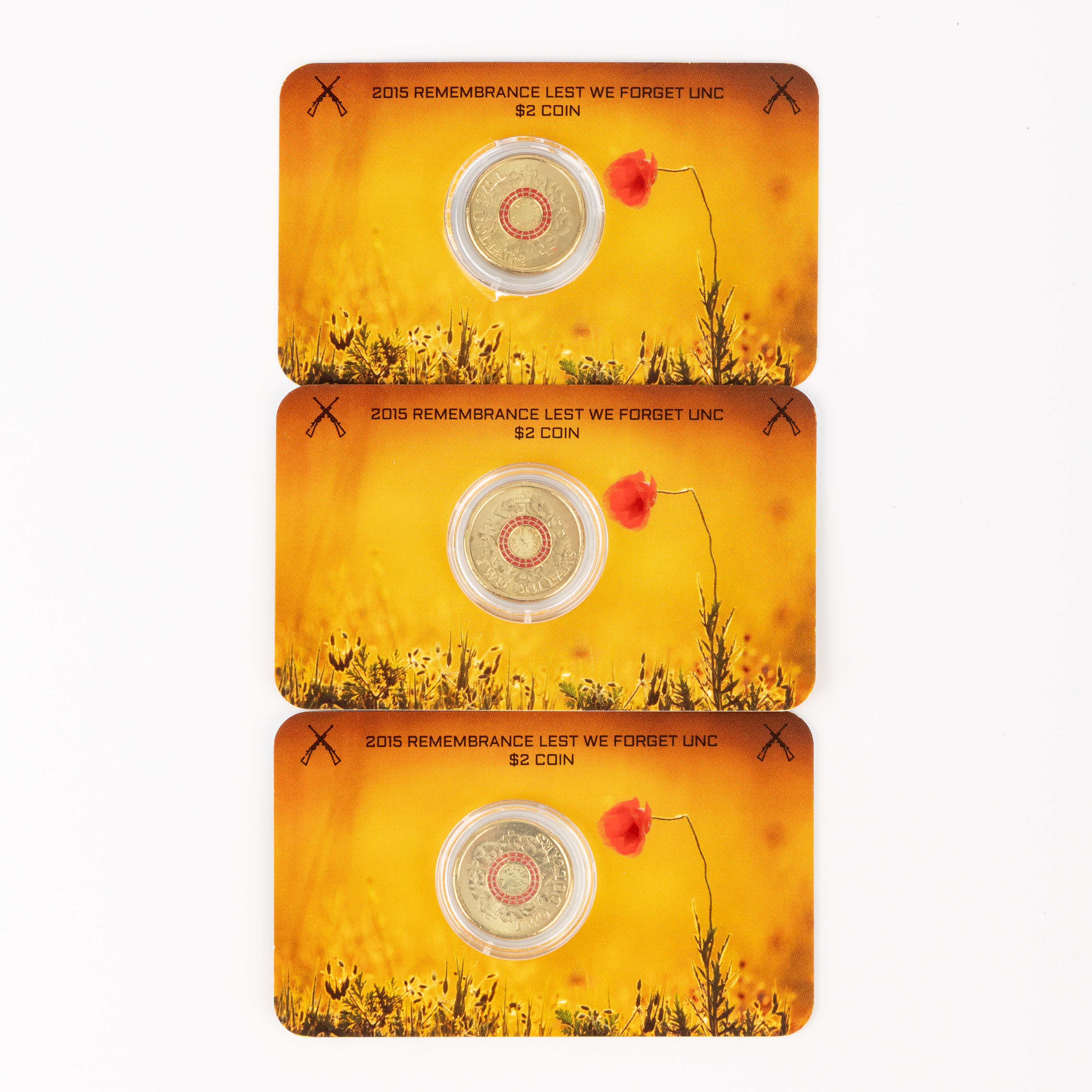 Remembrance, Two Dollars, 2015, UNC