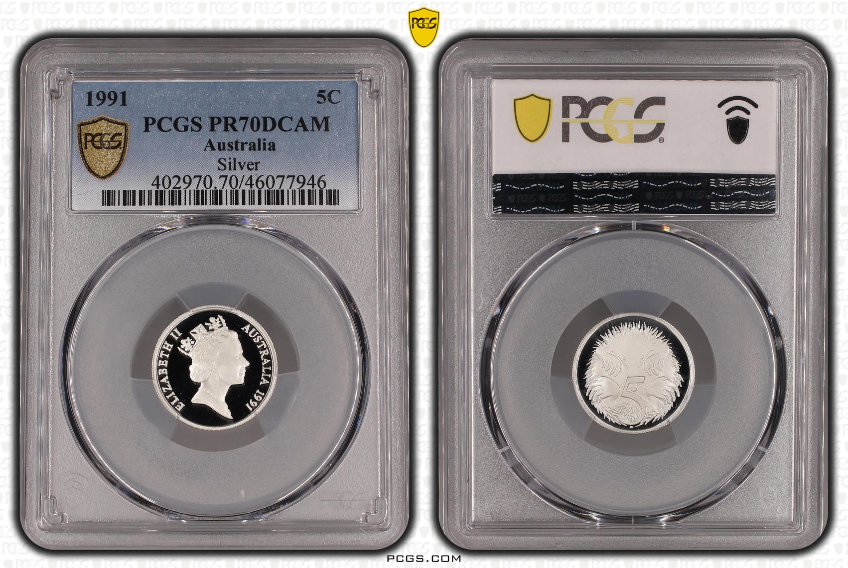 Elizabeth II, Silver, Five Cent, 1991, PCGS PR70DCAM