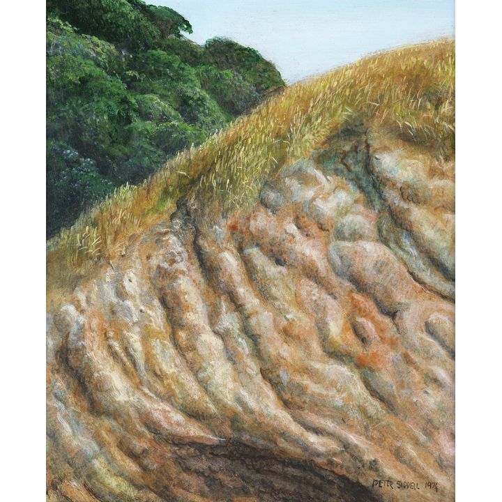 Peter Siddell 'Karekare Sandhill'