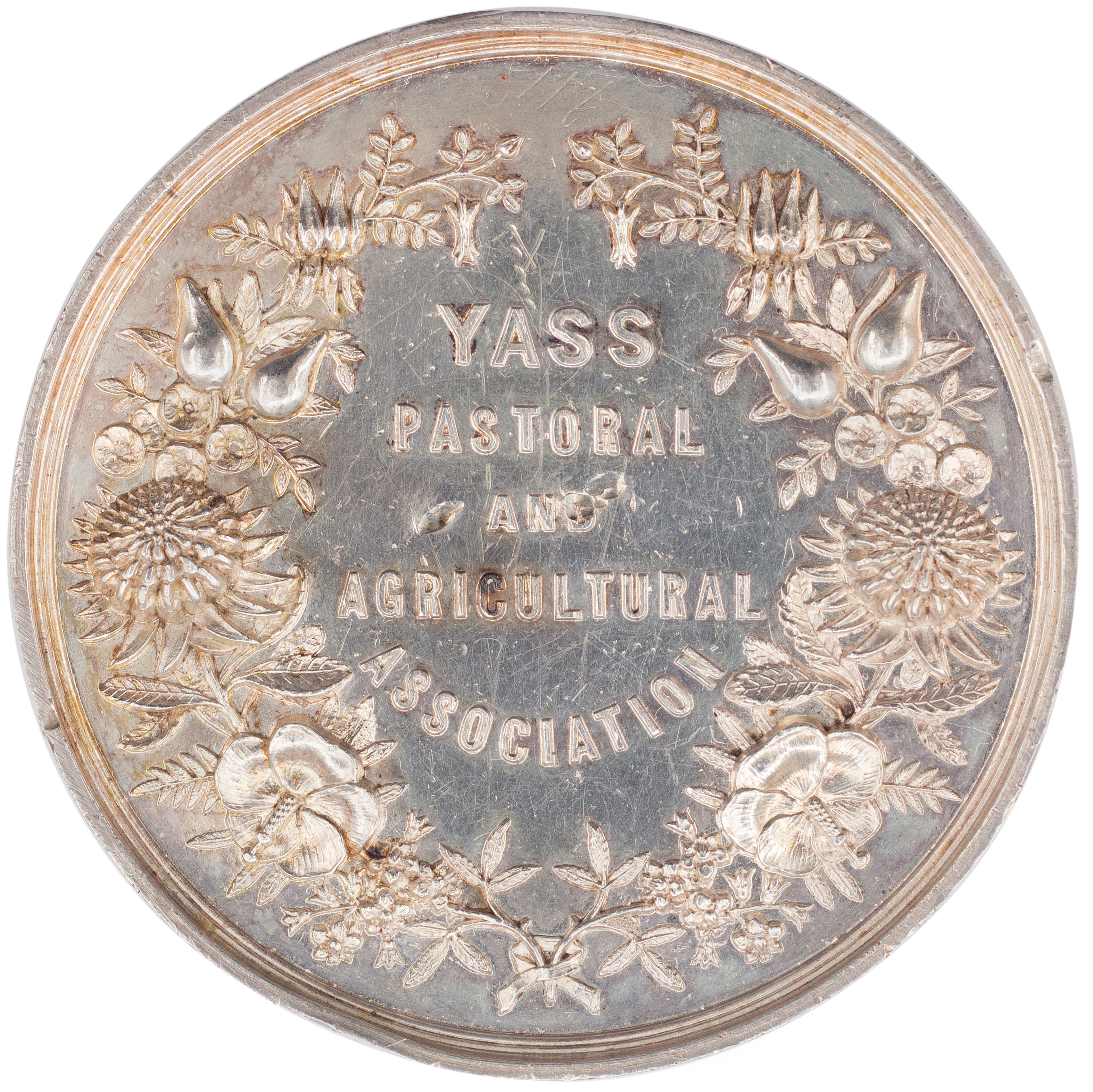 New South Wales, 1883, aEF