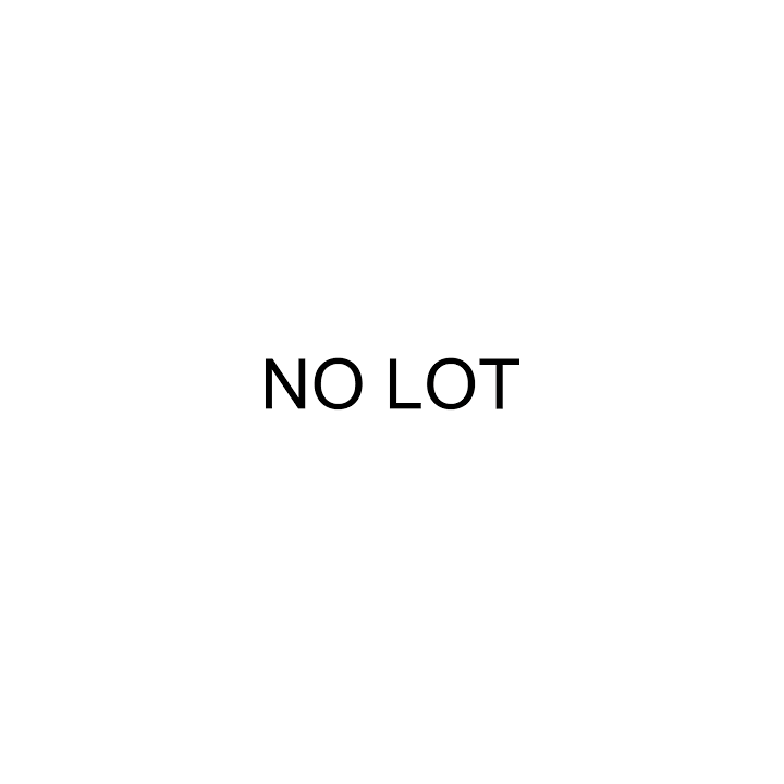 NO LOT