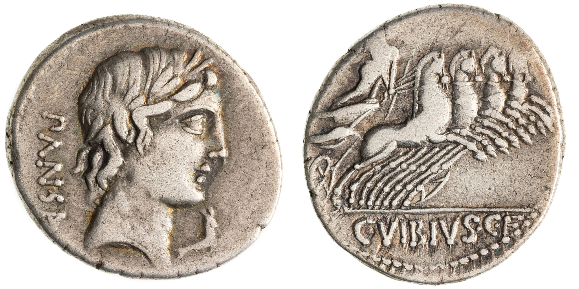 Vibia, Denarius, 90 AD, VF