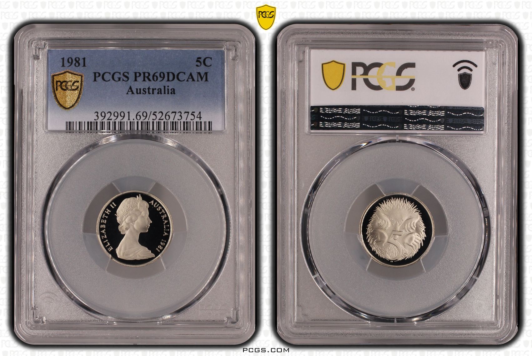 Five Cent, 1981, PCGS PR69DCAM