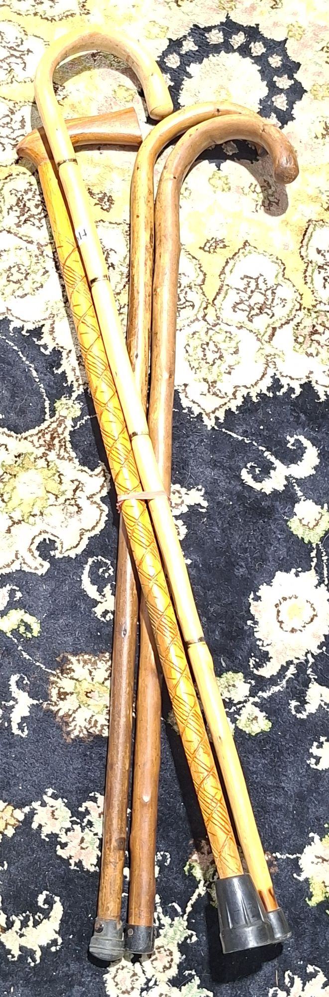 Walking Sticks