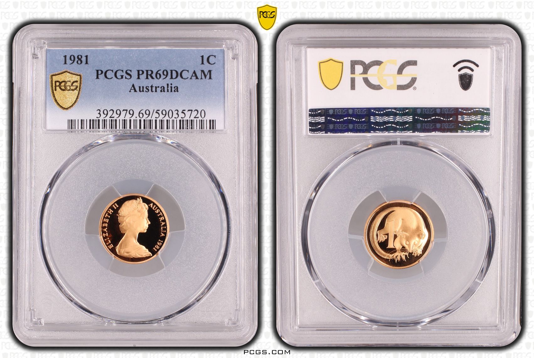 One Cent, 1981, Pcgs Pr69dcam