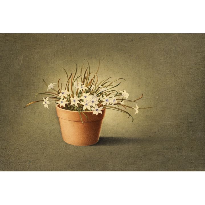 Rosalyn Gale Powell ''Tritelia'' (Flowers) 1981 Oil