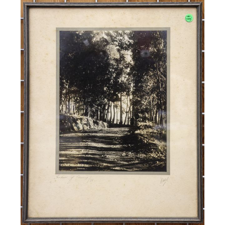 Vintage Hawaiian ''Shadow of Evening'' 1931 Photograph