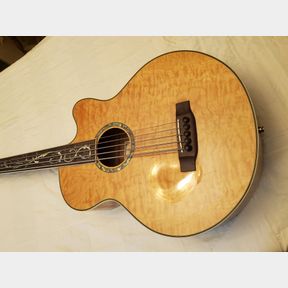 Michael Kelly Dragonfly Fretless 5 MKDF5 fretless acoustic bass