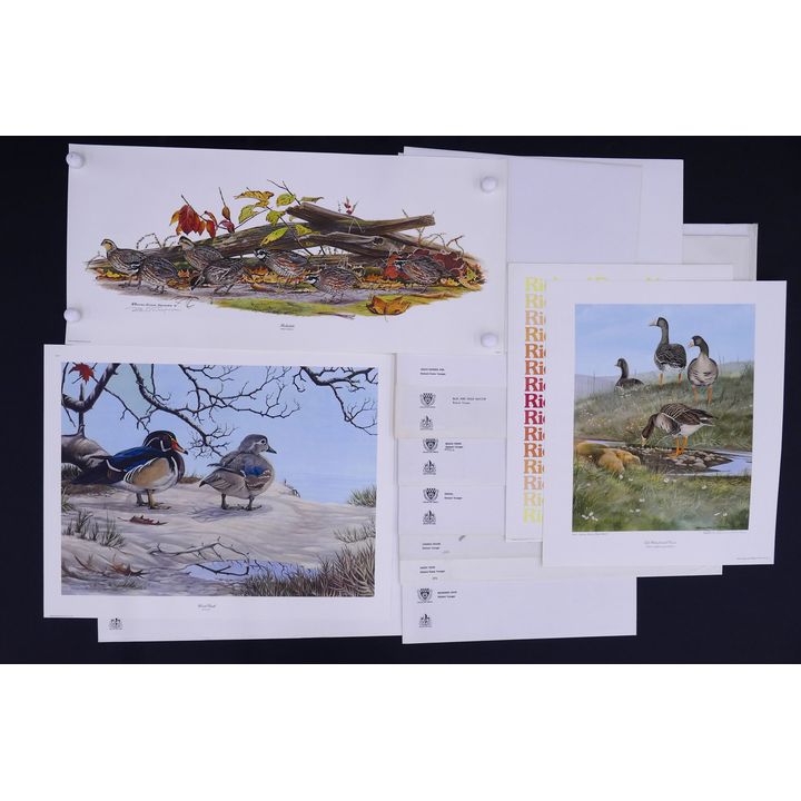 13pc Richard Evans Younger S/N Wildlife Lithographs. Includes 12pc Bird prints and 1pc Eastern Timber Wolf.