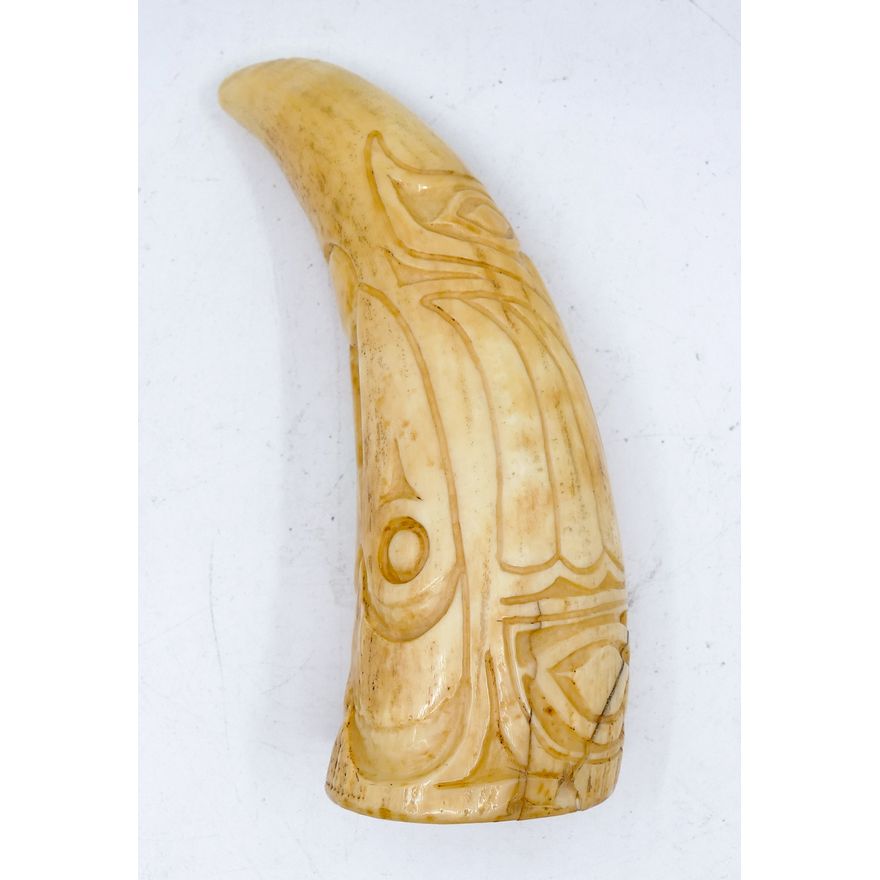 Old Northwest Coast Carved Raven Tooth 4.5''
