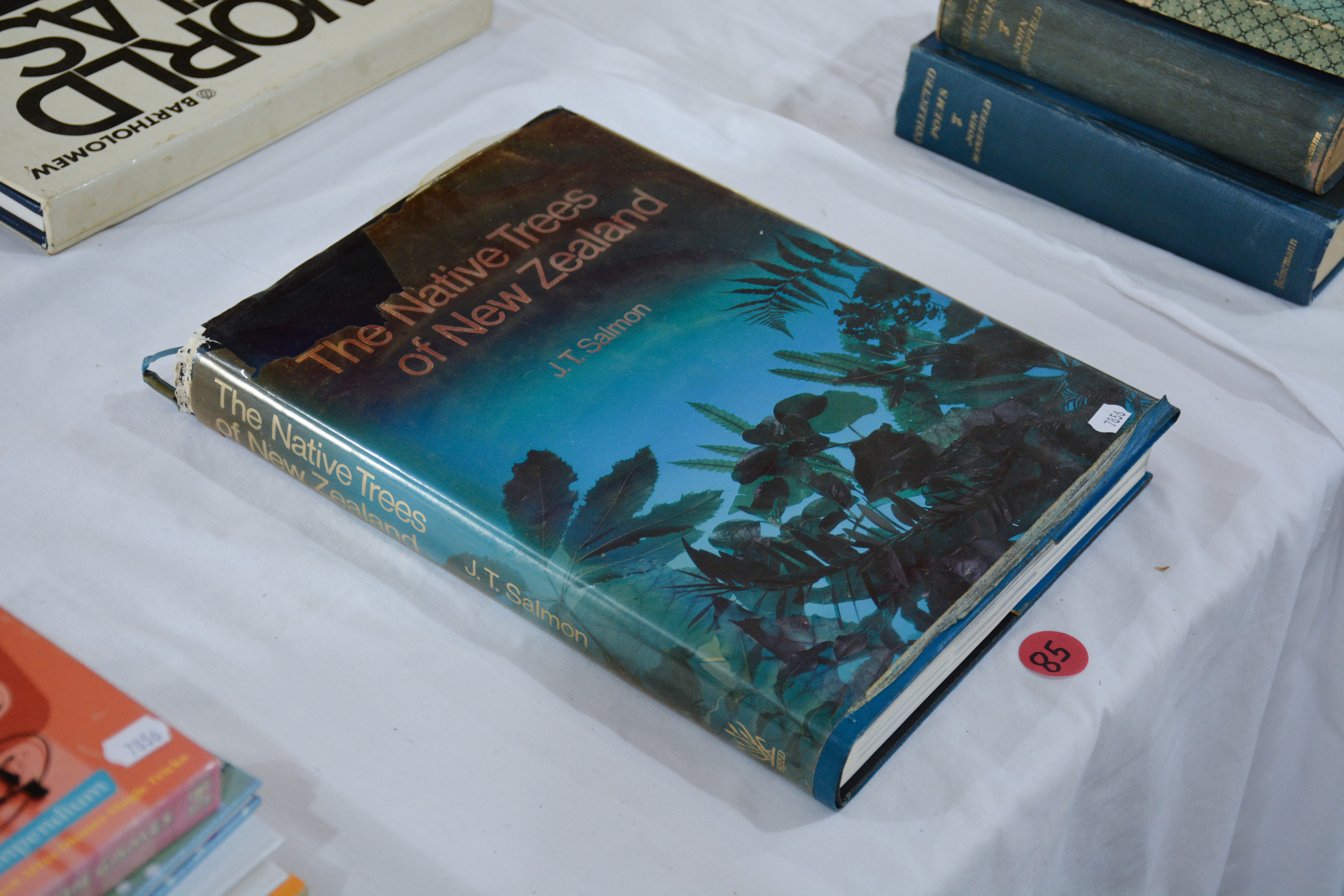 The Native Trees of NZ — NZ auction result
