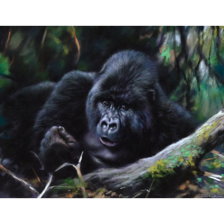 Joel Kirk (1948-) Mountain Gorilla Silverback