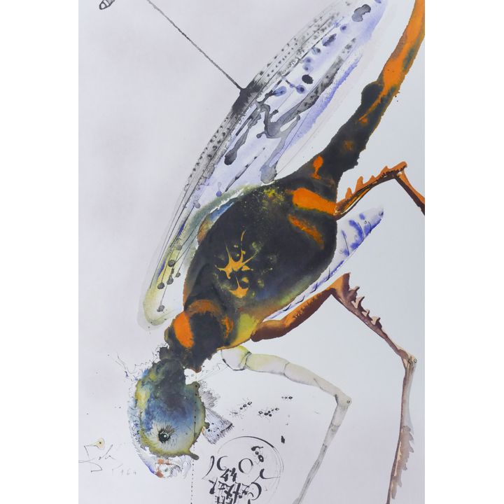 Salvador Dali ''Locust and The Grasshopper'' (Biblia Sacra) Color Lithograph