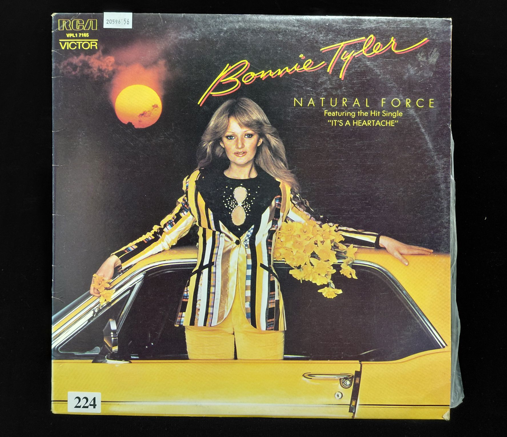 224 · BONNIE TYLER