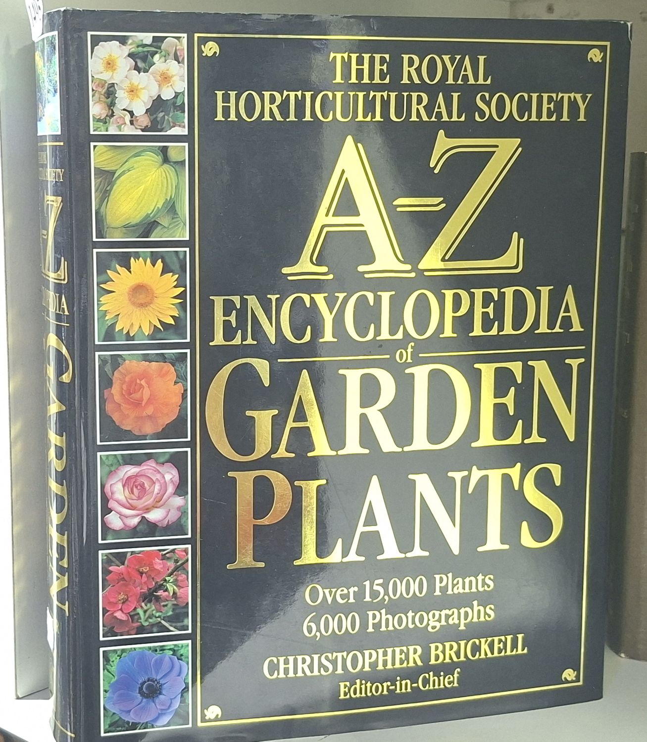 Rhs A-Z Encyclopaedia