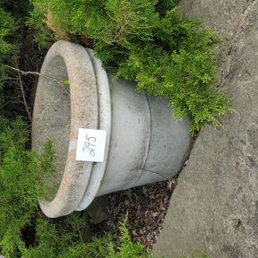 Single concrete planter (corner of sidewalk), large