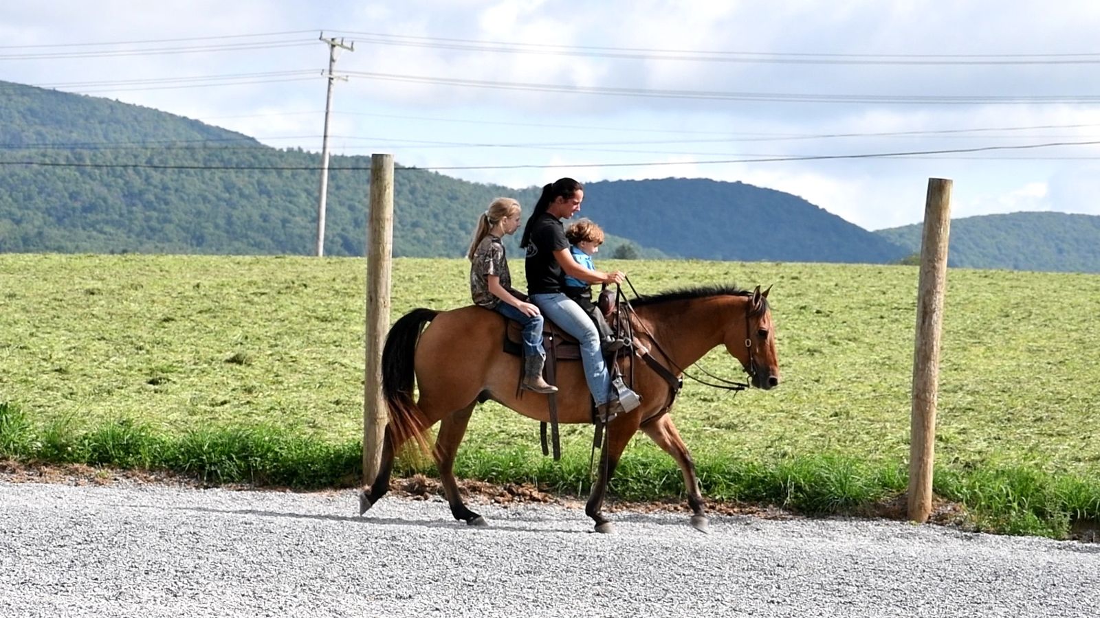 DALLAS Horse Bid, LLC