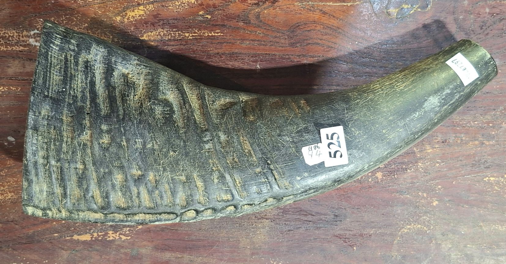 525 · S.E. ASIA BUFFALO HORN