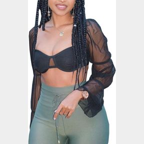 SHEER MESH LONG PUFF SLEEVE CROP TOP WITH BRA Y2K TOPS STREETWEAR