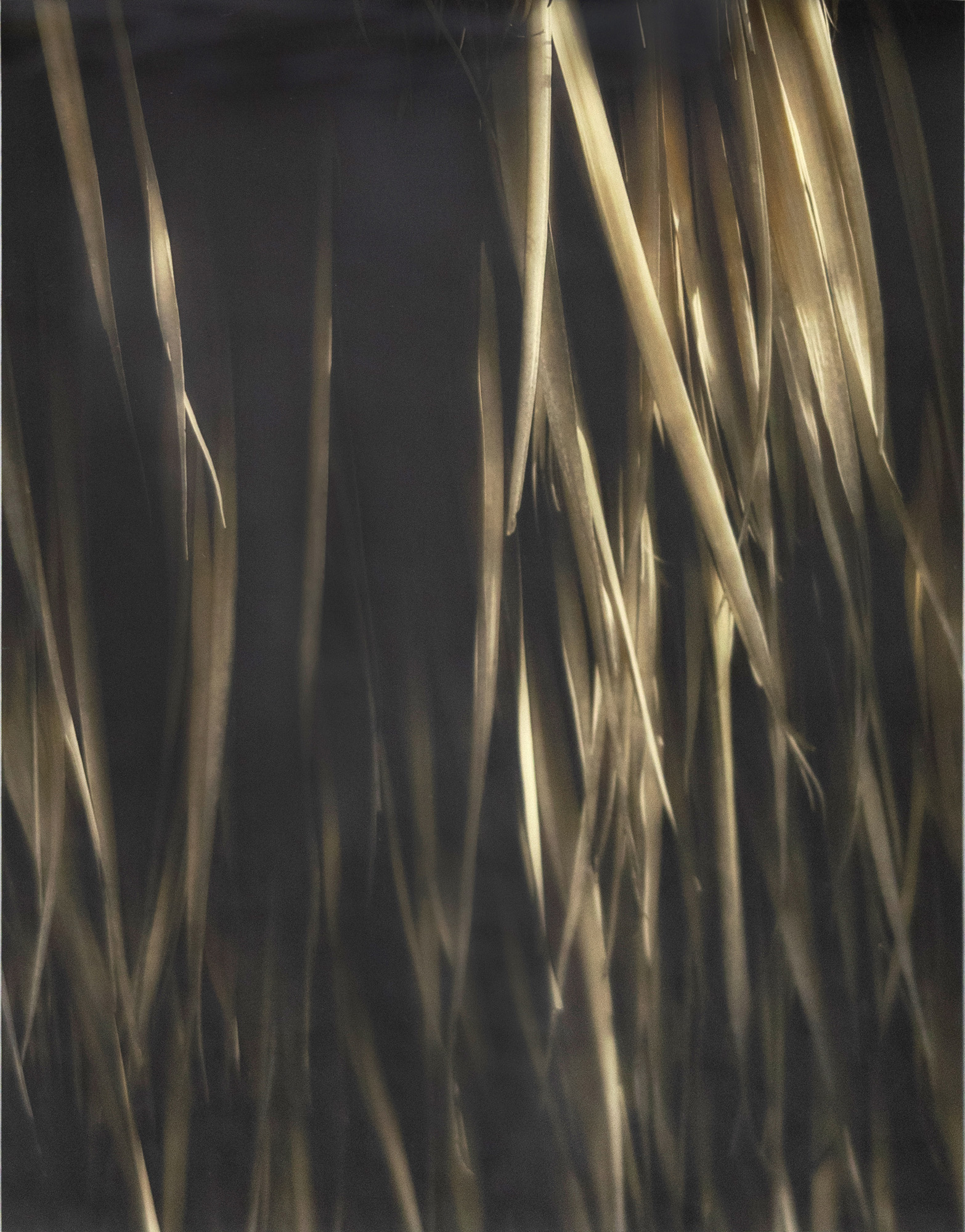 Tom Reese 'Grass No. 1' — NZ auction result