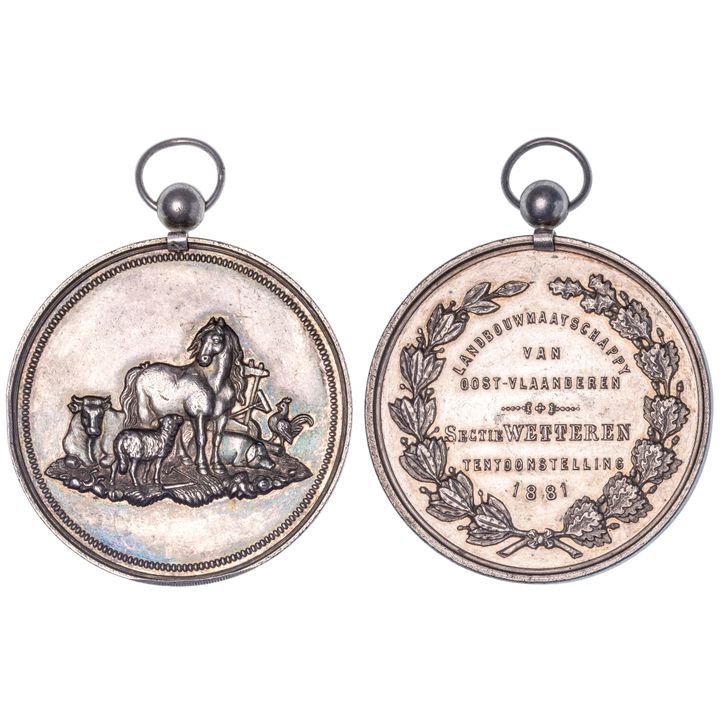 Belgium, Wetteren Agricultural Show Medal, 1881, EF