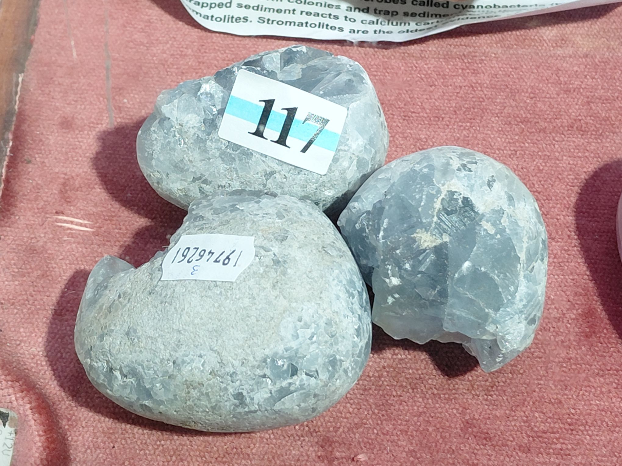 117 · CELESTITE CRYSTALS